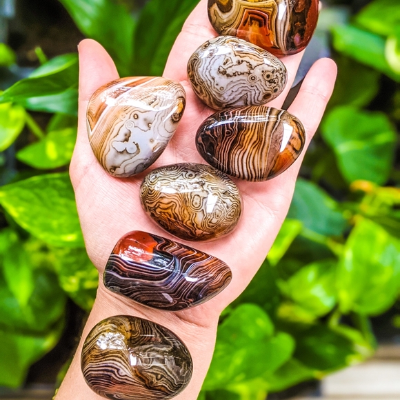 Highest Quality Uruguayan Amethyst Geodes 387.9 grams - Picture 8 of 11